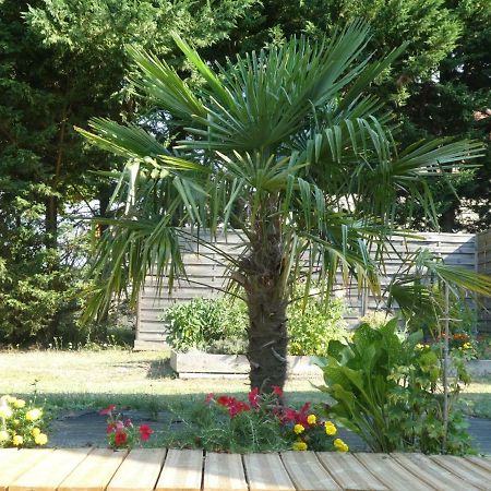 Hotel Chambre D'Hote Le Sablonnet Ciran Exterior foto